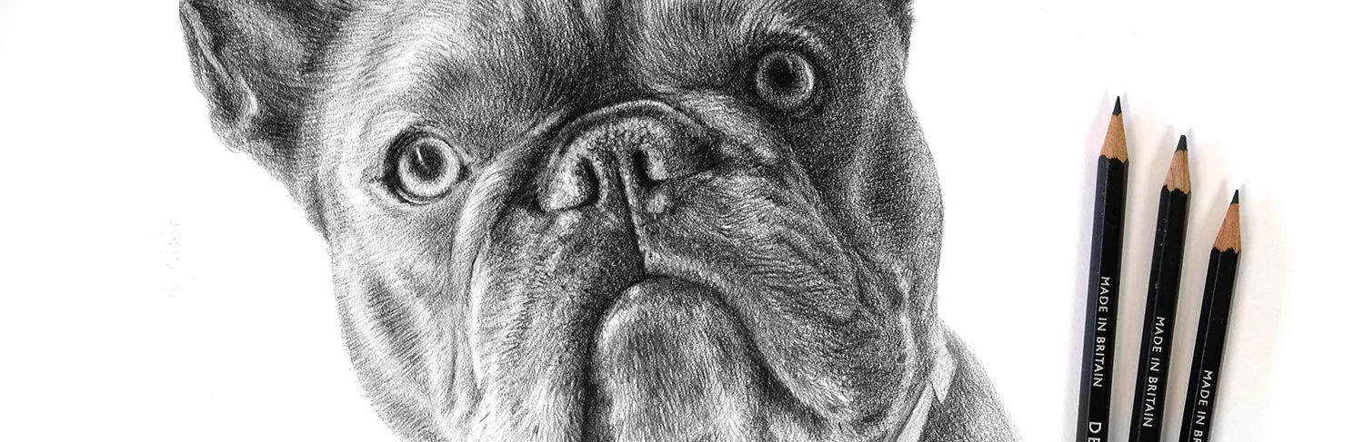 Laptop displaying an online payment page for a pet portrait commission.