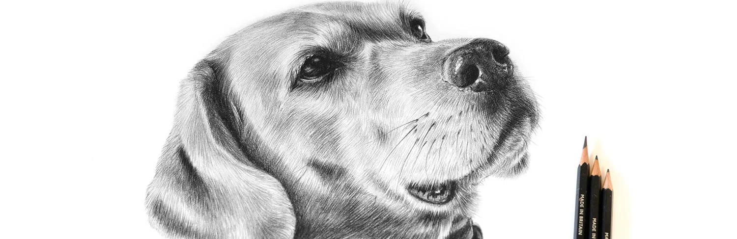 Close-up of an artist's hand drawing a detailed pet portrait in pencil.