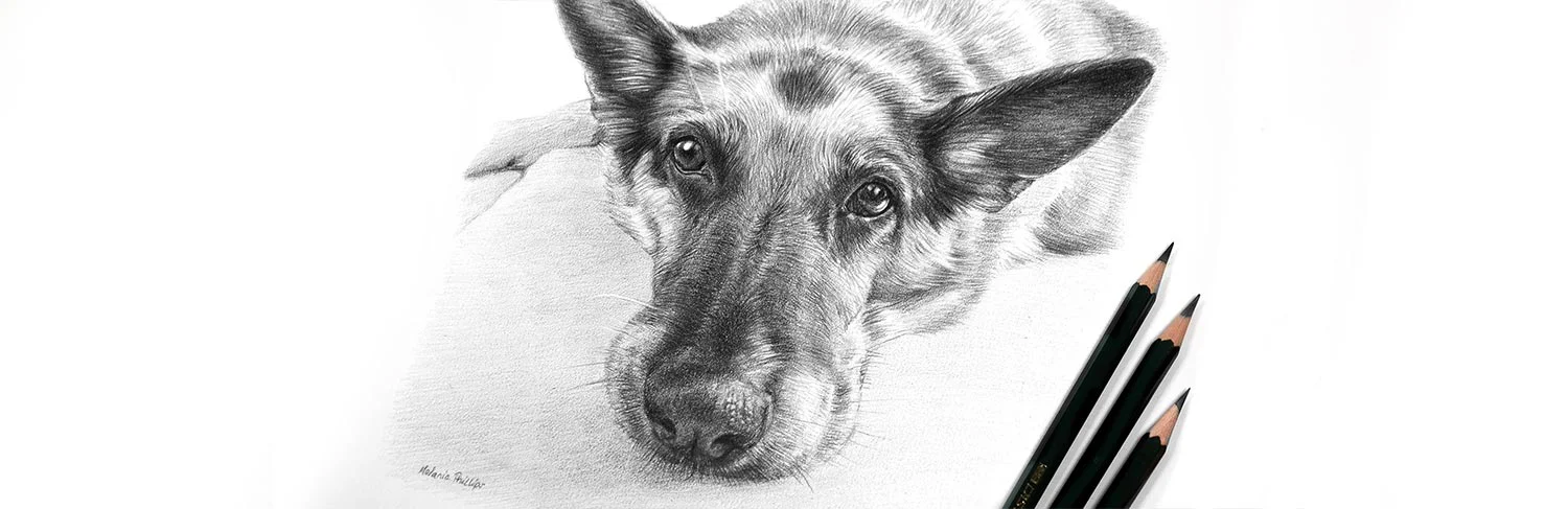 Finished pencil pet portrait displayed alongside shipping materials, ready for dispatch.