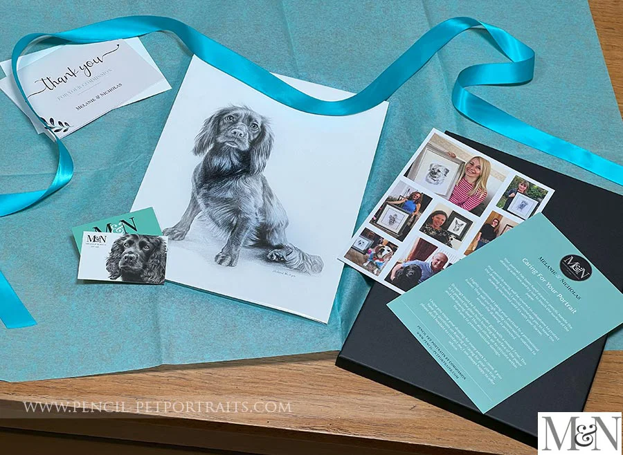 A carefully packaged pencil pet portrait in a presentation box with ribbon.