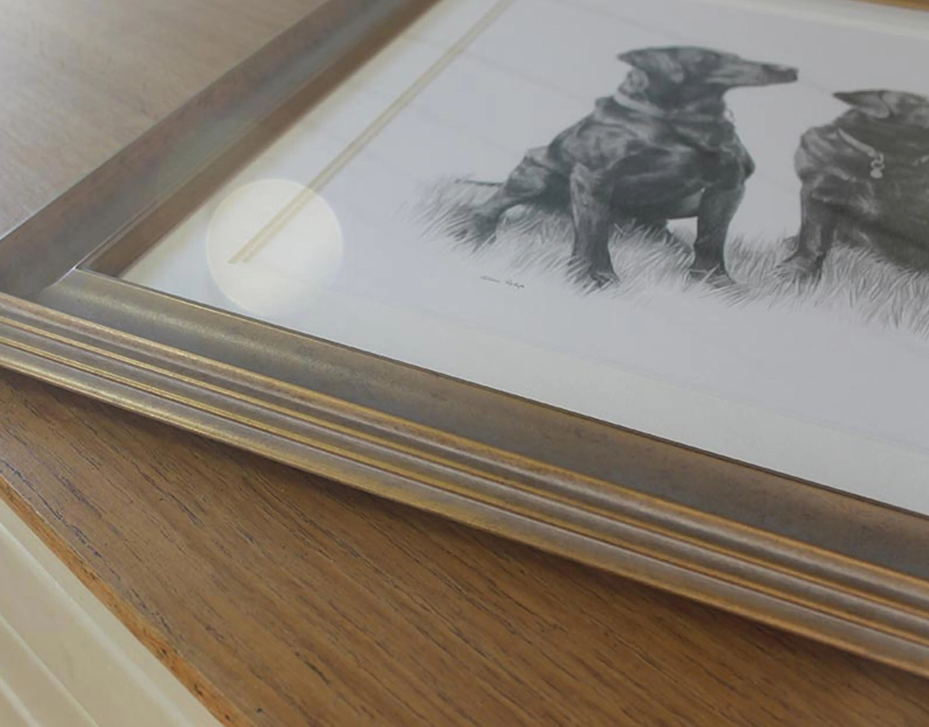 Black Labrador pencil portrait by Melanie Phillips, displayed in a custom frame