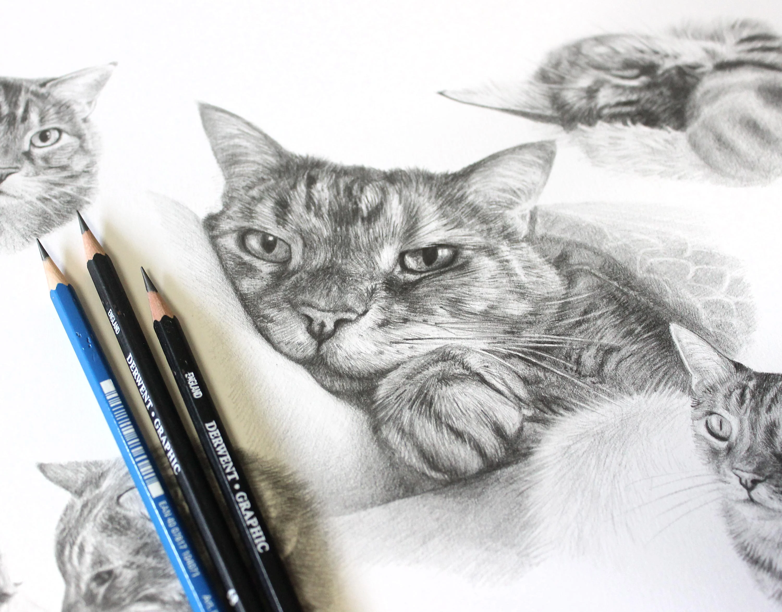 Angled view of the custom cat Life Story Portrait pencil portrait, showcasing the artwork's depth.