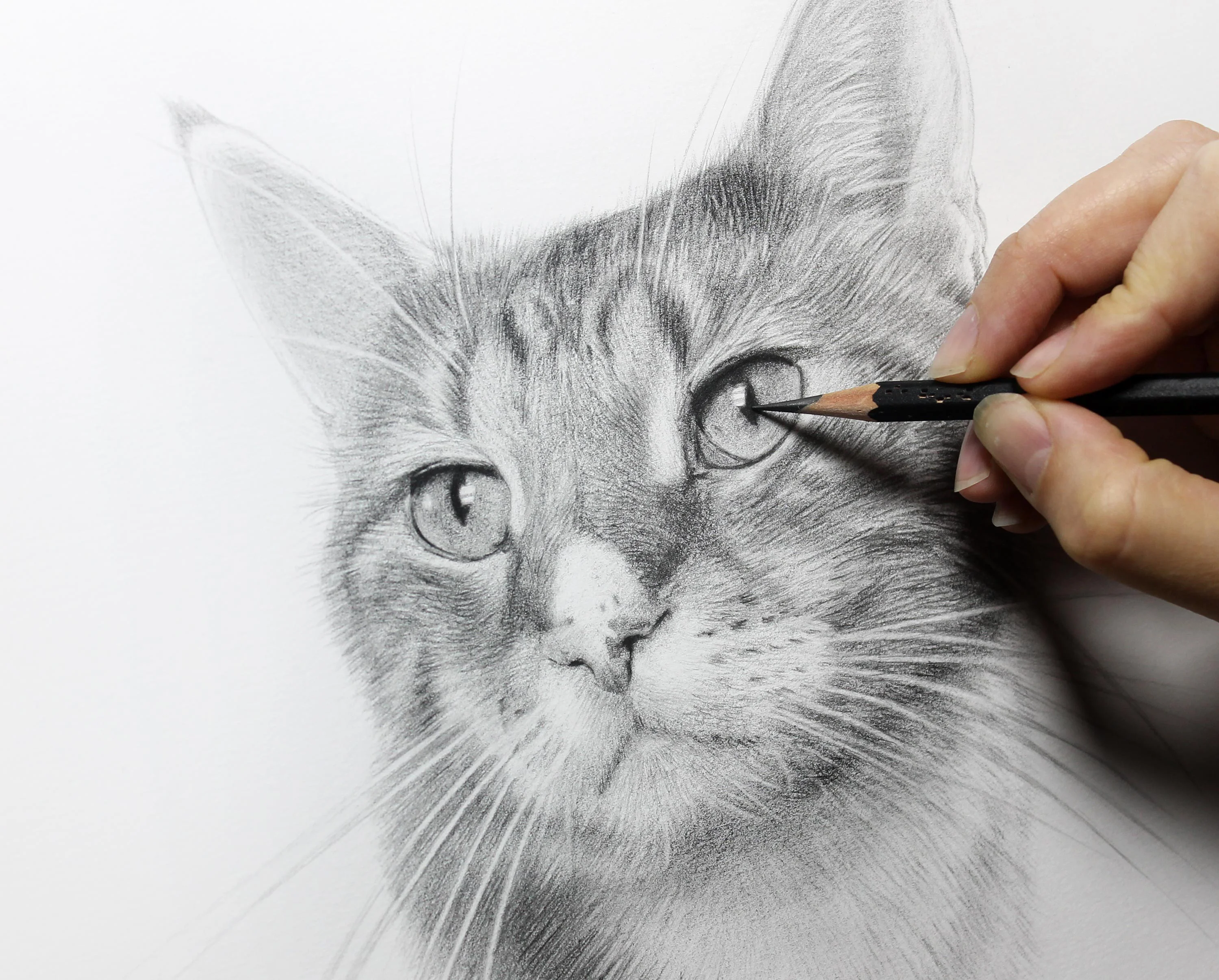 Tyson's pencil portrait in progress on an easel, with drawing tools for scale.