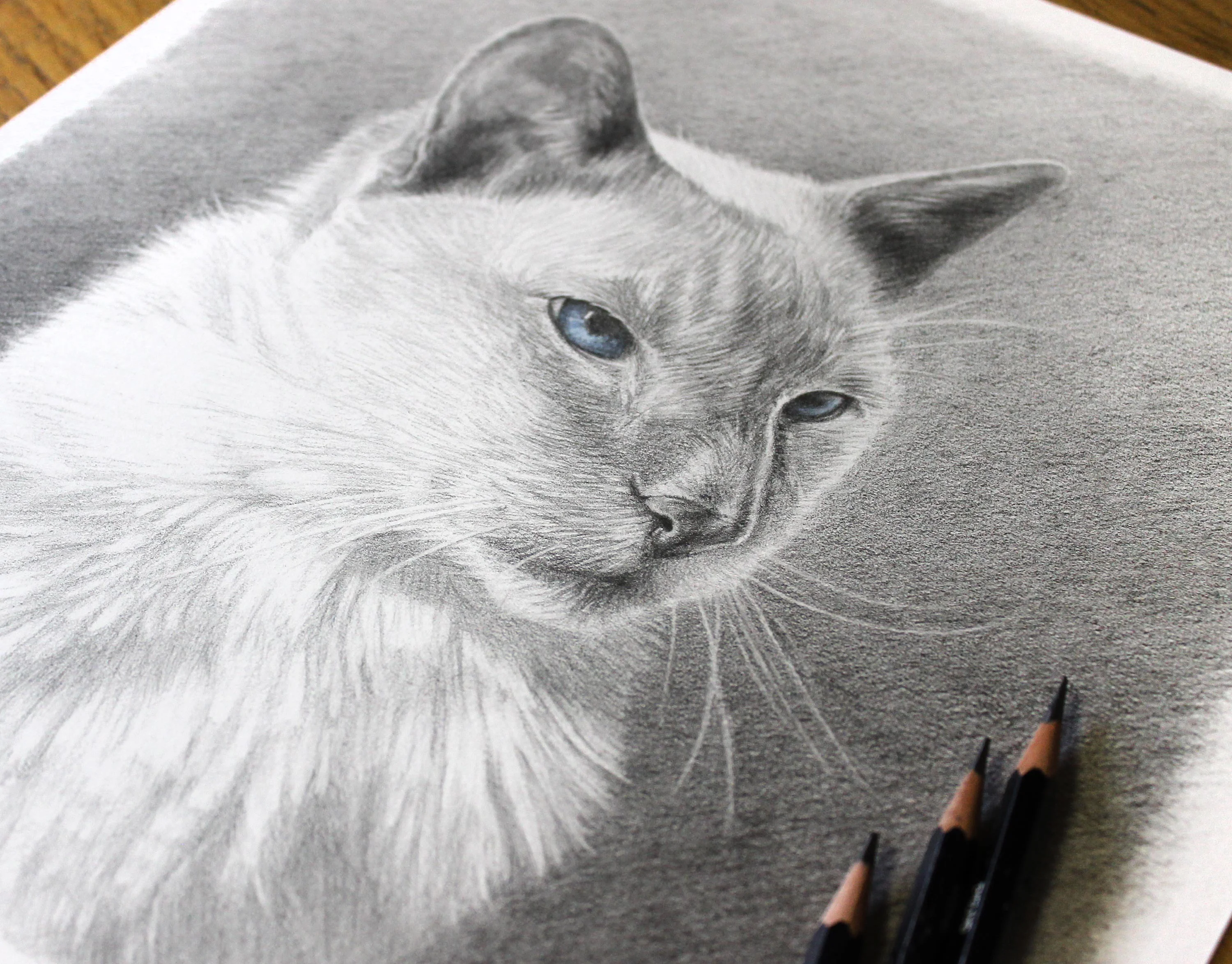 Angled view of Max's custom pencil and coloured pencil cat portrait.