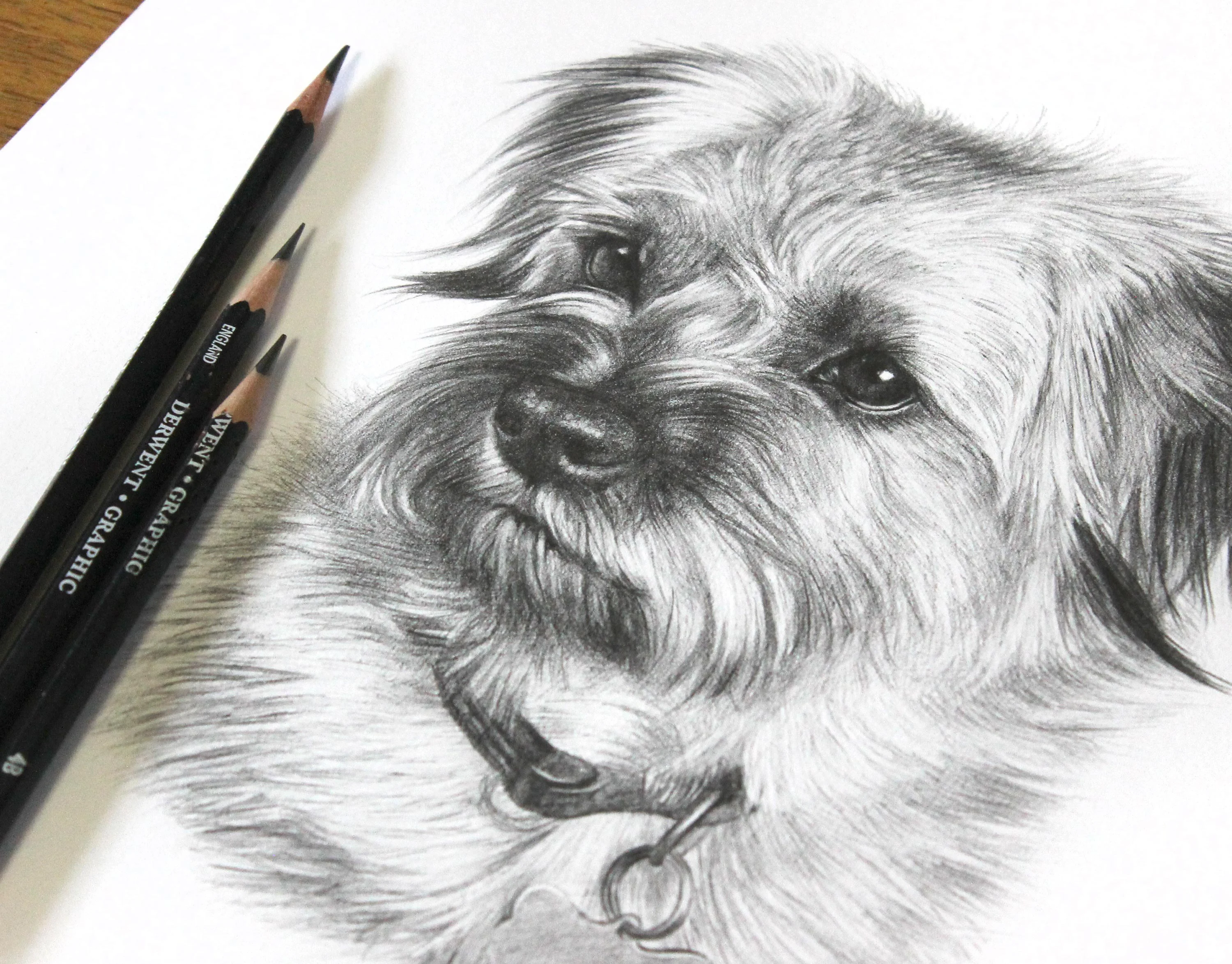 Client Paula proudly posing with the finished pencil portrait of her dog, Teasel.