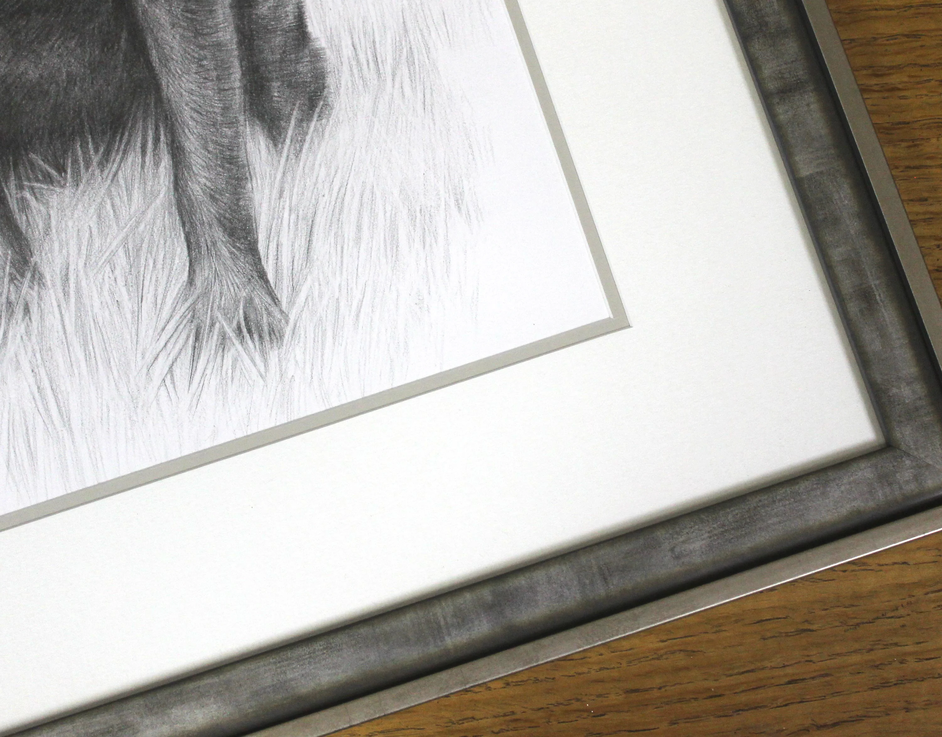 The final framed pencil portrait of Black Labrador Stanley and Cocker Spaniel Jarvis.
