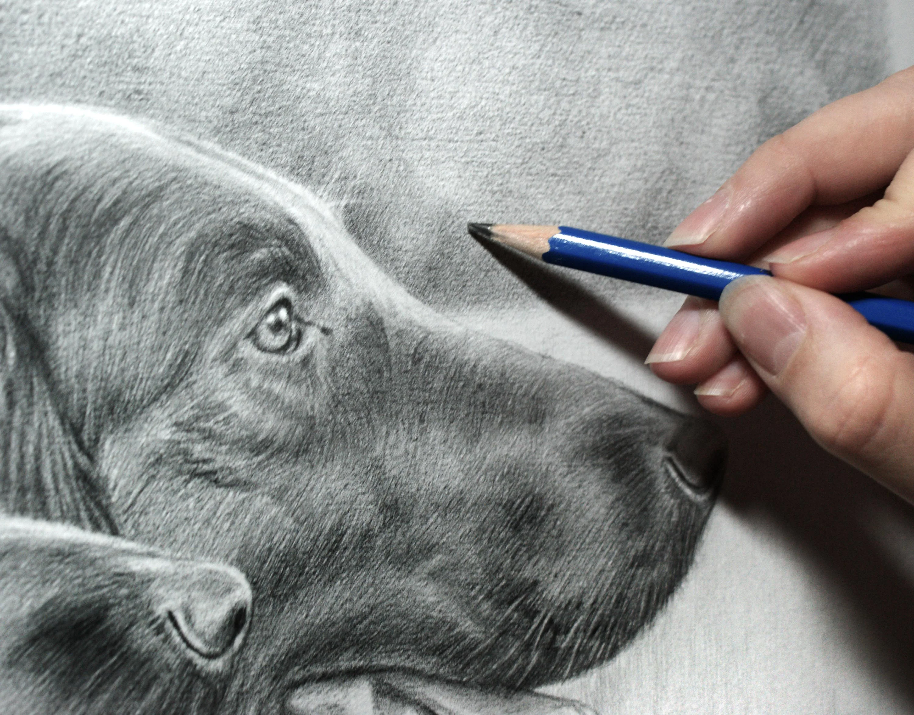 The completed pencil portrait of Maddie and Jacob displayed on an easel, showing the full artwork.