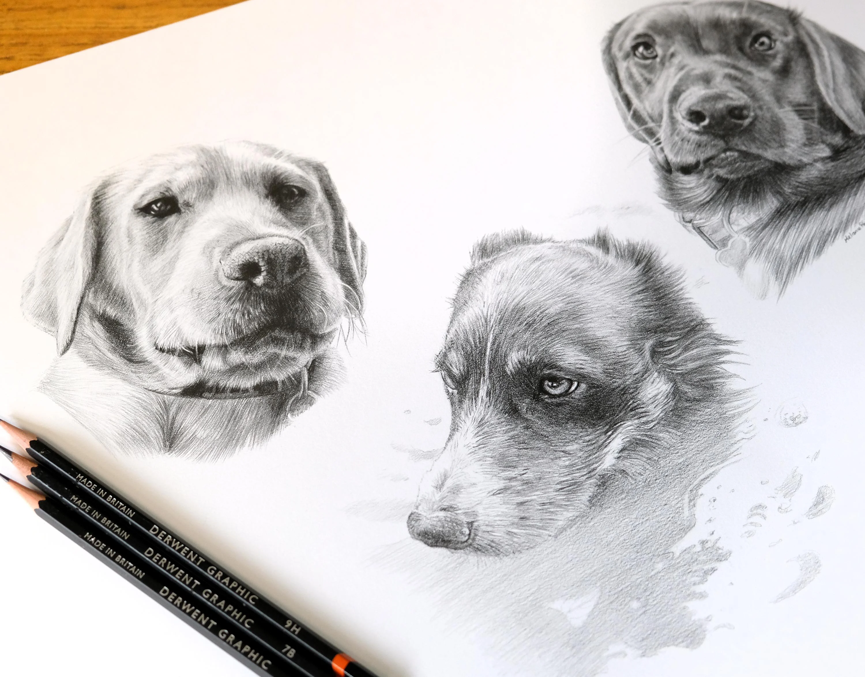 The framed pencil portrait of Ziggy, Winston, and Alfie, ready for presentation.