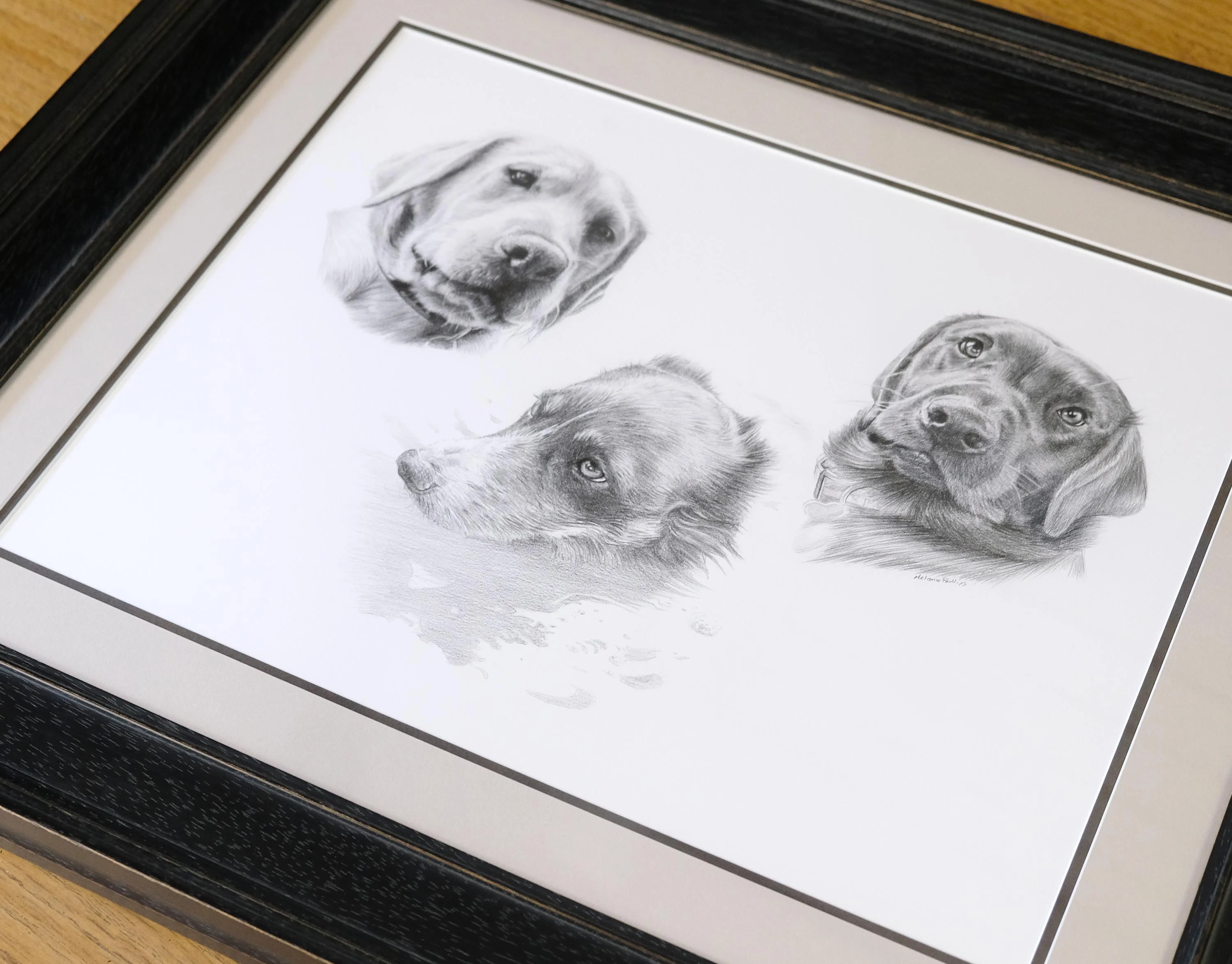 High-resolution scan of the finished pencil portrait of Ziggy, Winston, and Alfie, showing fine detail.