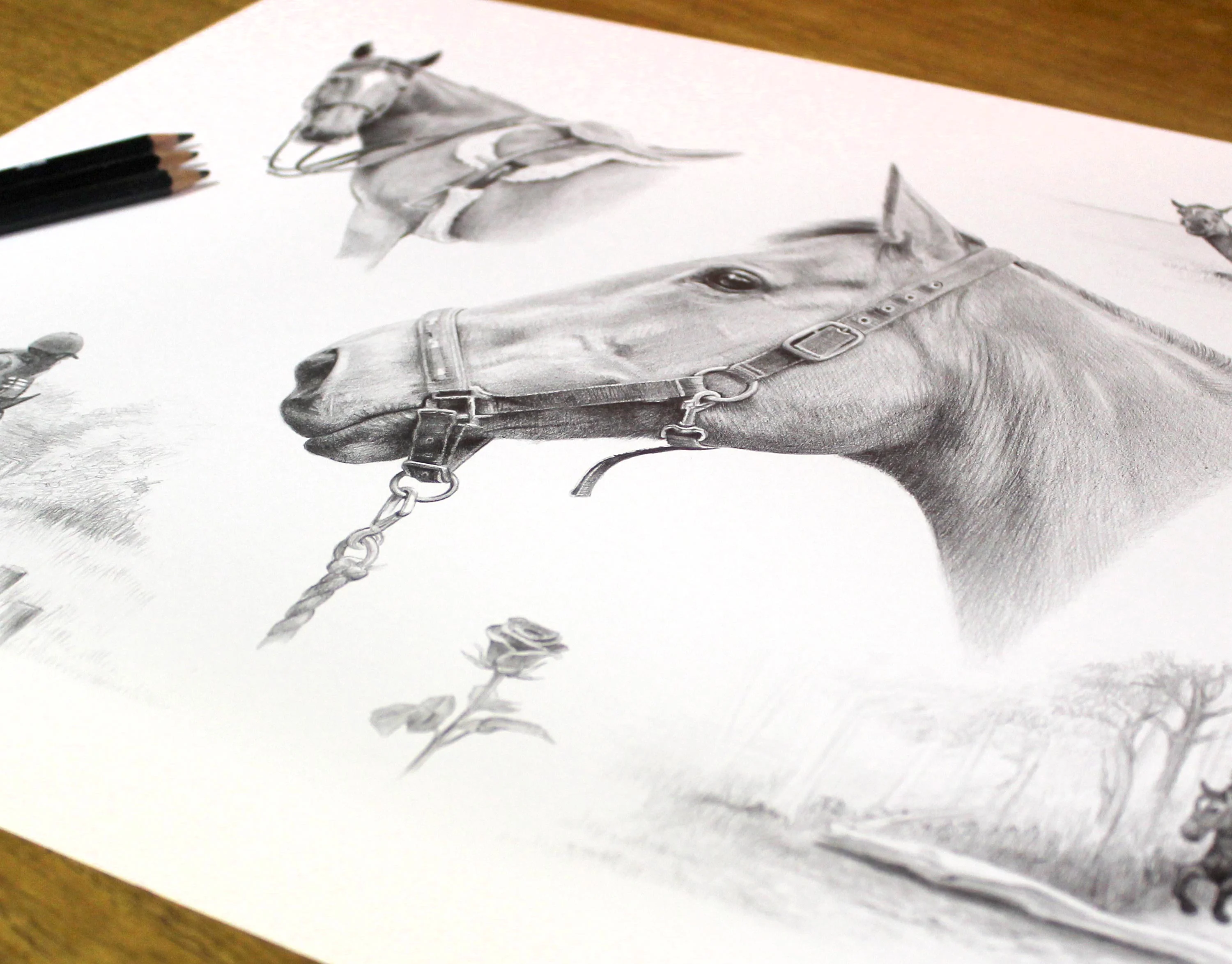 Another view of the framed pencil Life Story Portrait portrait of horse Rose, showcasing the artwork.