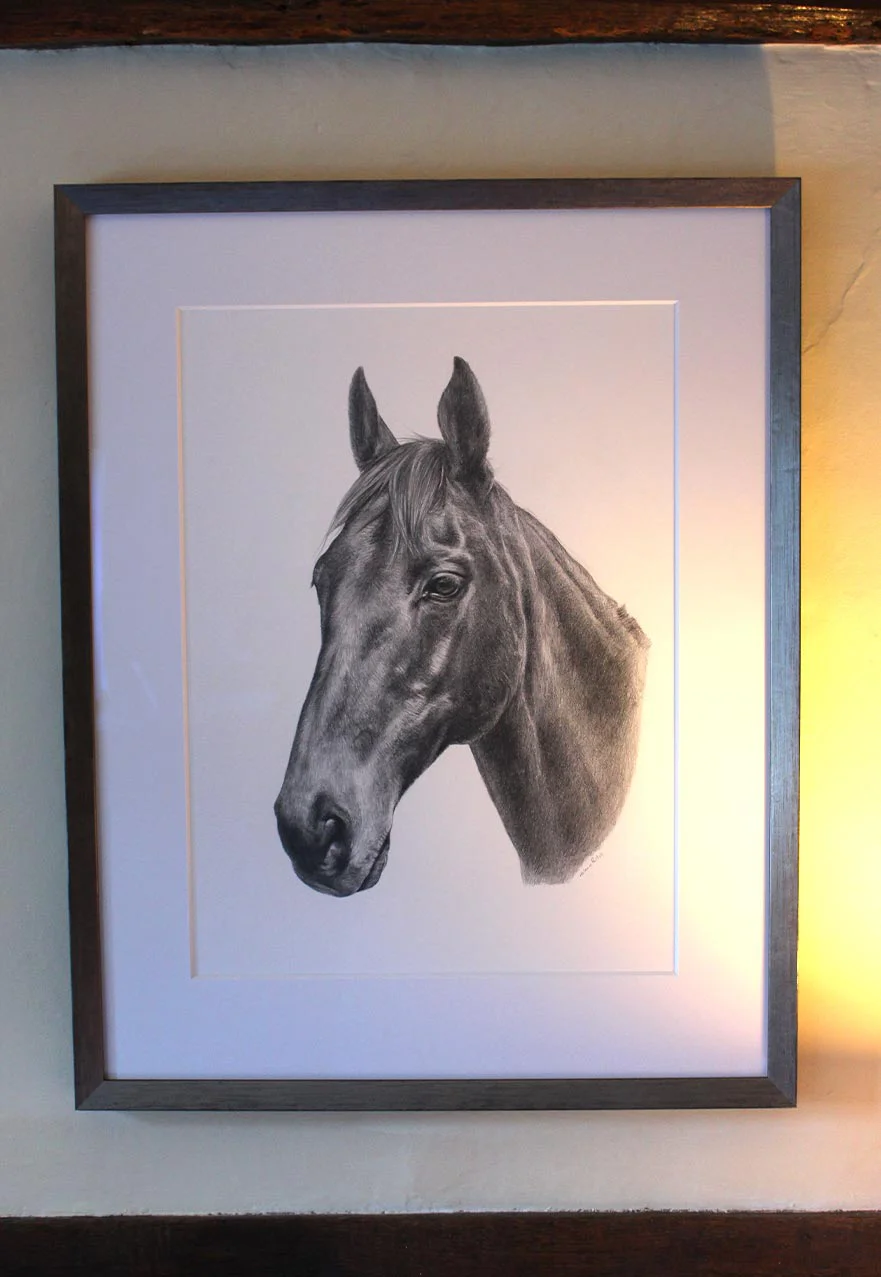 The framed pencil portrait of horse Duker hanging on a wall in a charming cottage, with wooden beams visible.