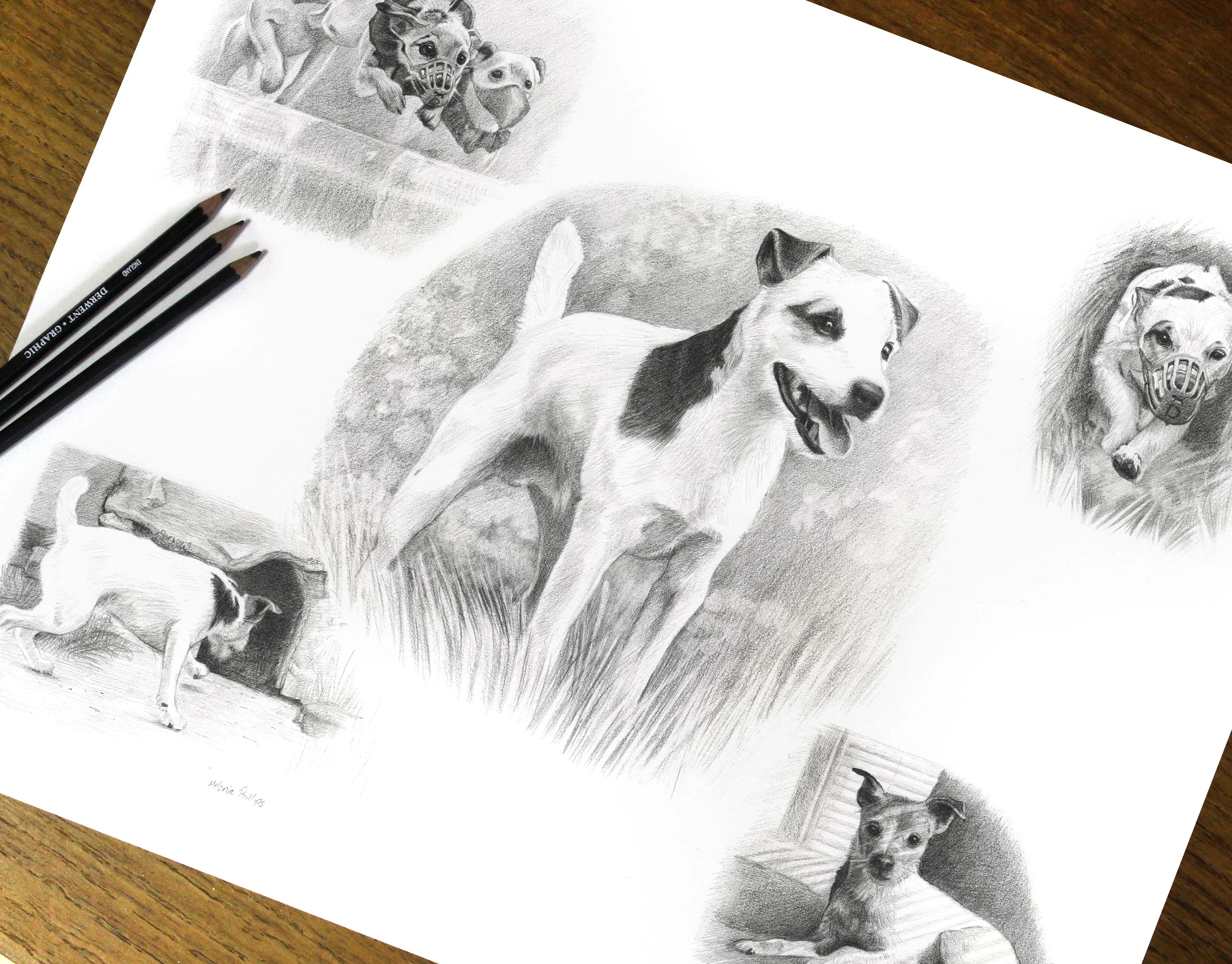 Close-up detail of Dean's Jack Russell pencil portrait, highlighting fur texture and expression.