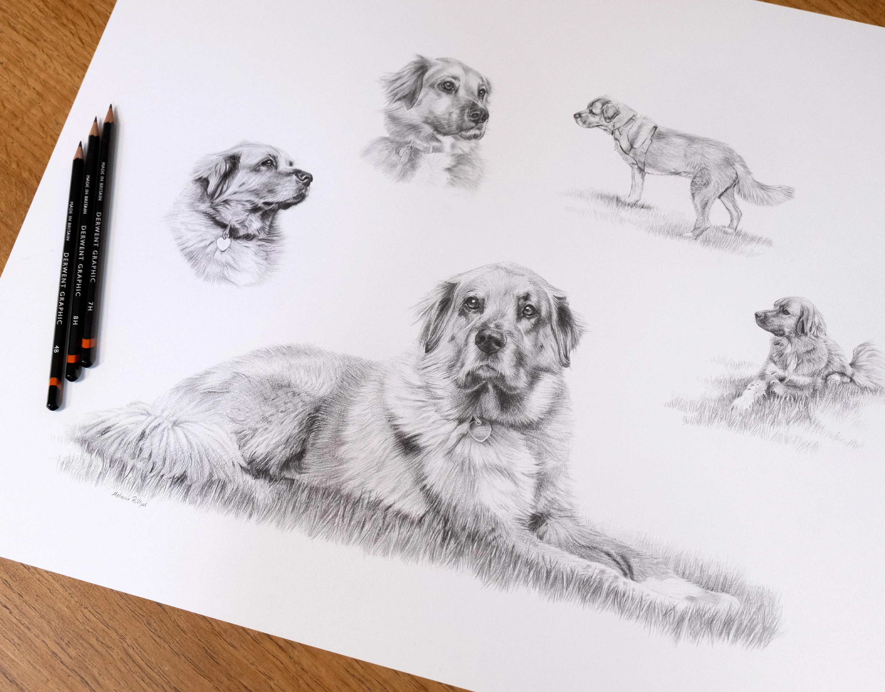 Close-up of the framed Golden Retriever portrait of Mikey, showcasing the engraved plaque.