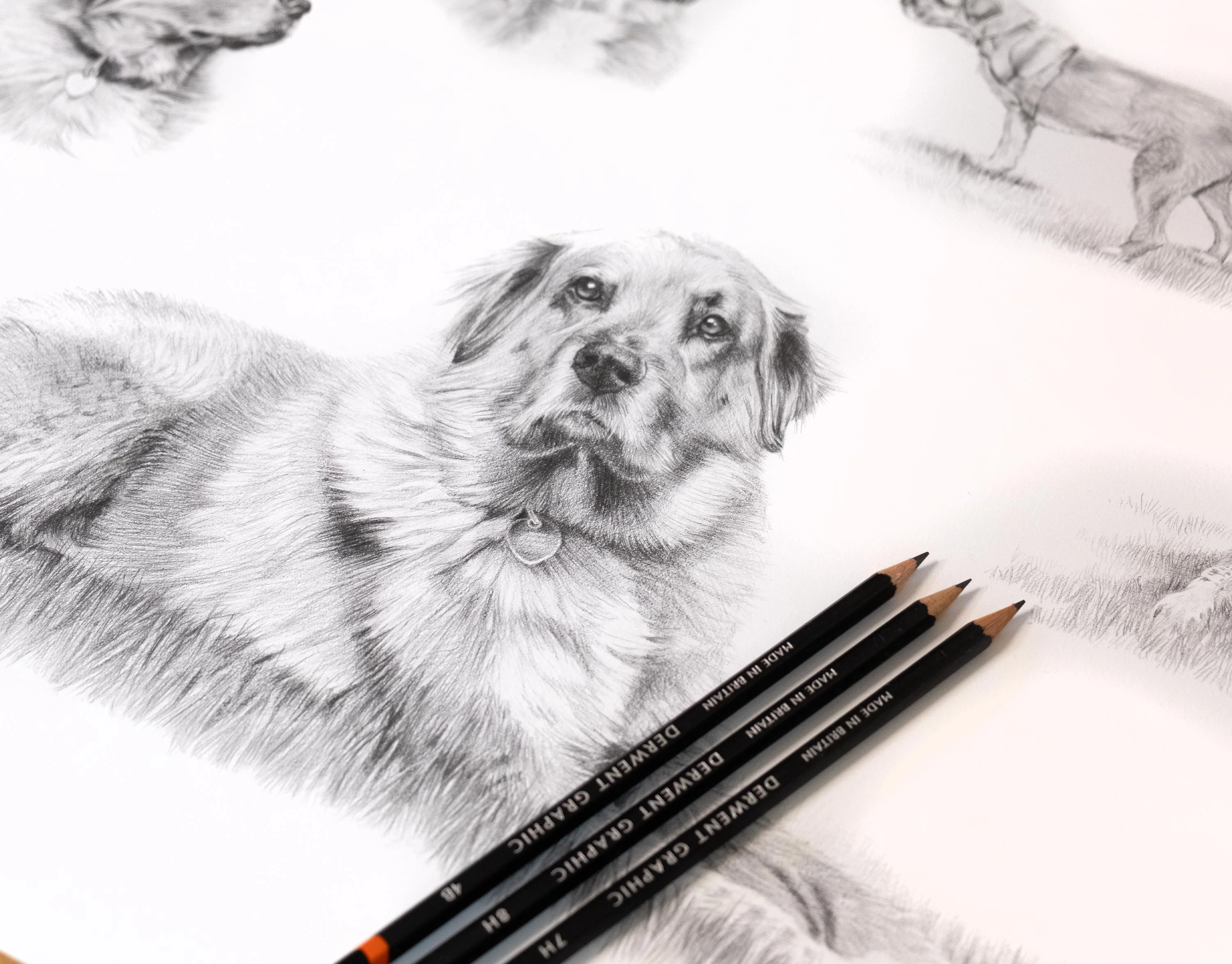 The framed Golden Retriever pencil portrait of Mikey hanging on a wall.