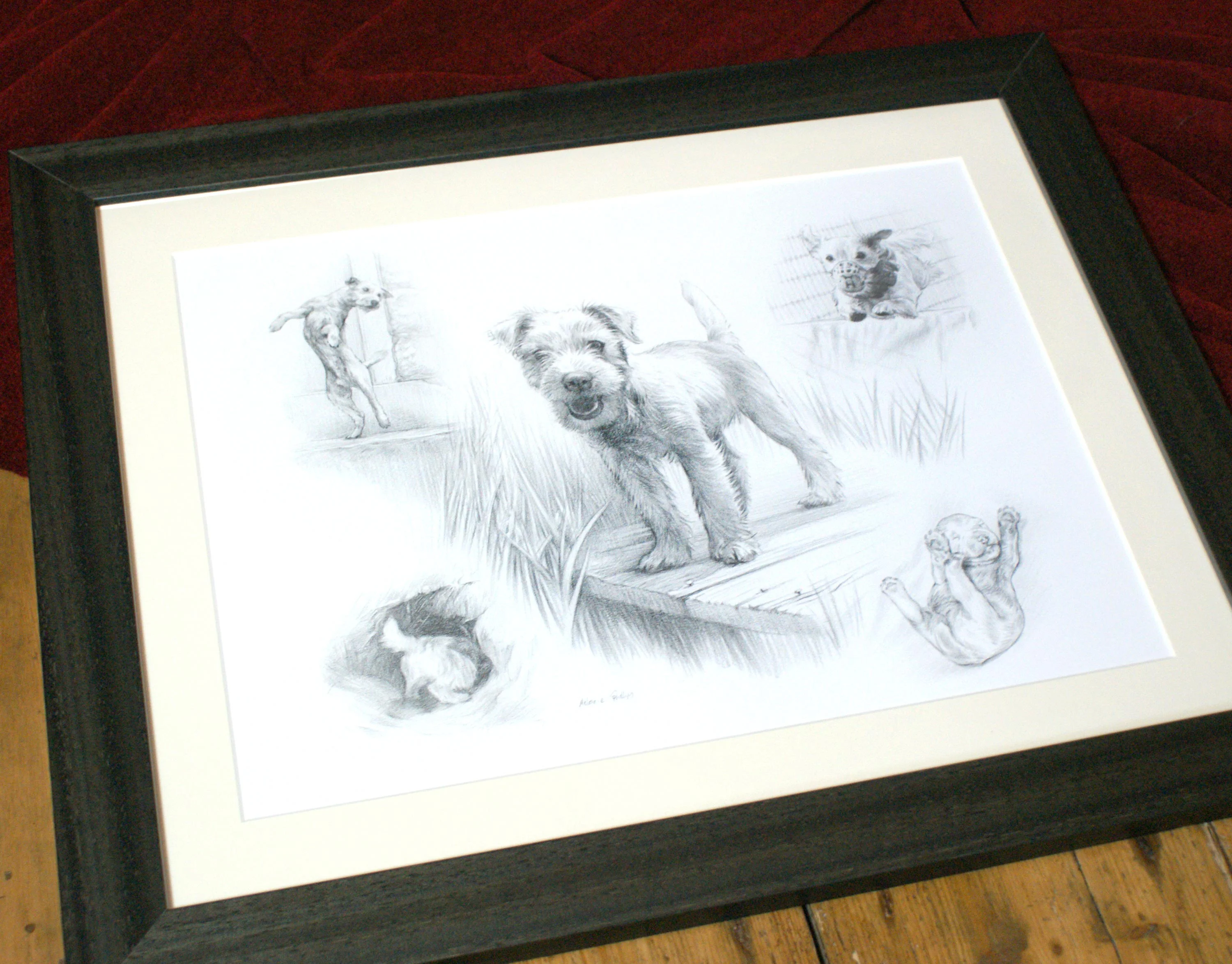 The framed Life Story Portrait pencil portrait of Holden the Jack Russell.