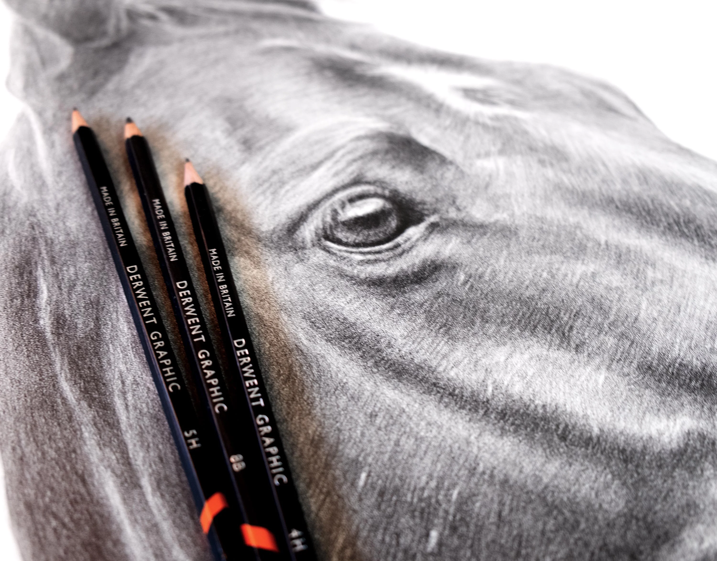 Jo and her daughter proudly displaying the framed pencil portrait of Flash.