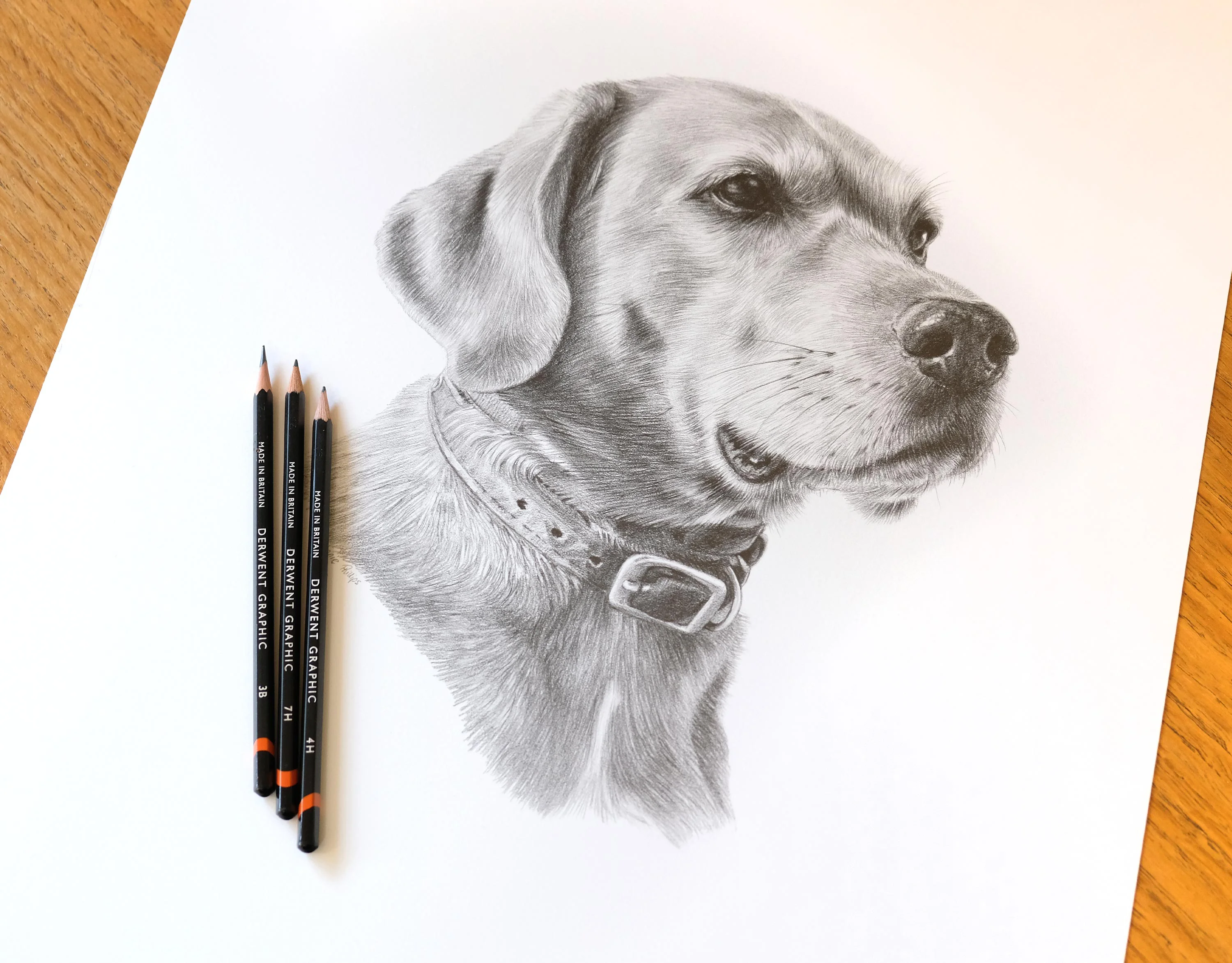 A close-up of the framed pencil portrait of Rusty, highlighting the detail and artwork.
