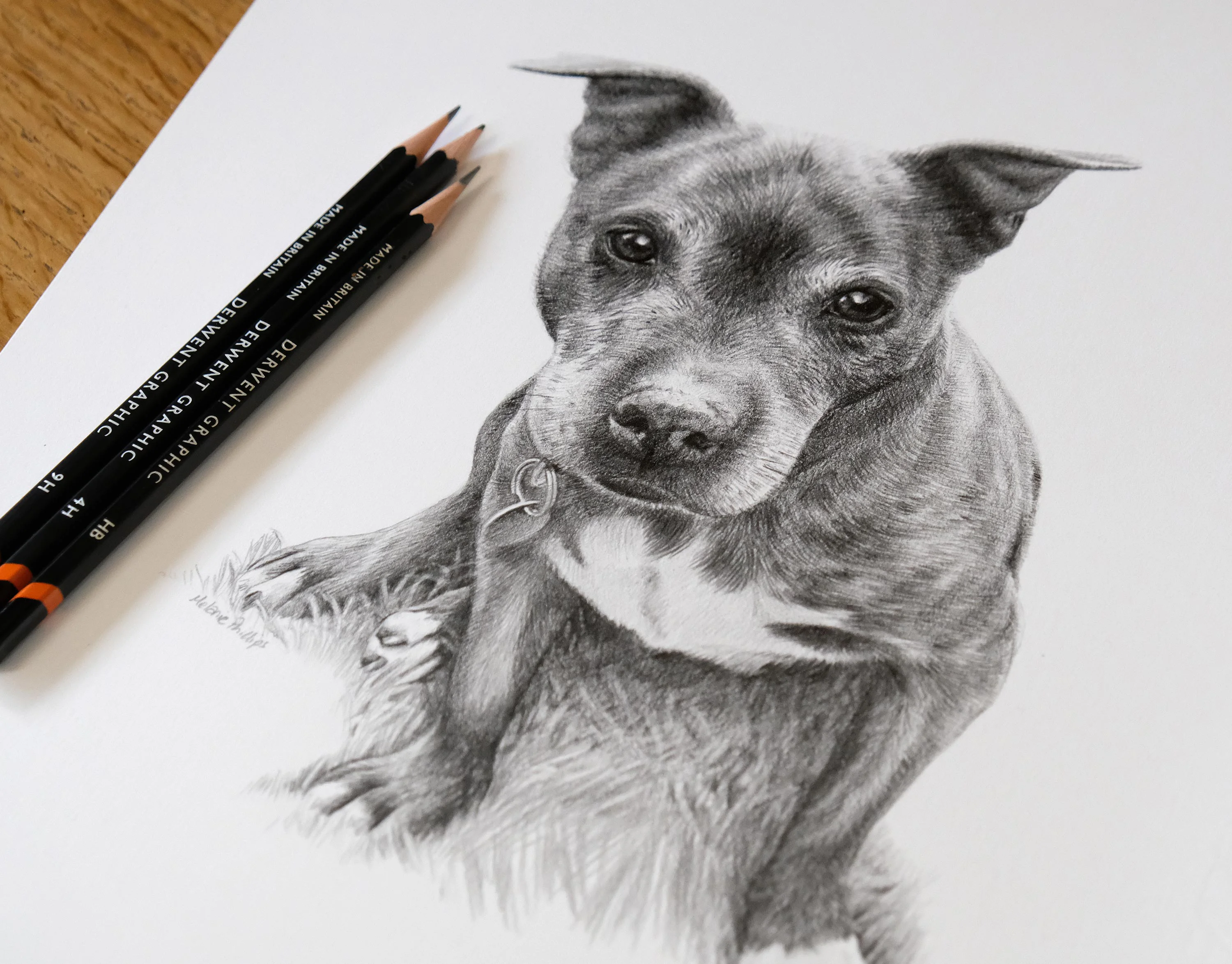 Close-up of the engraved silver plaque on Stormy's portrait, with her name and a message.