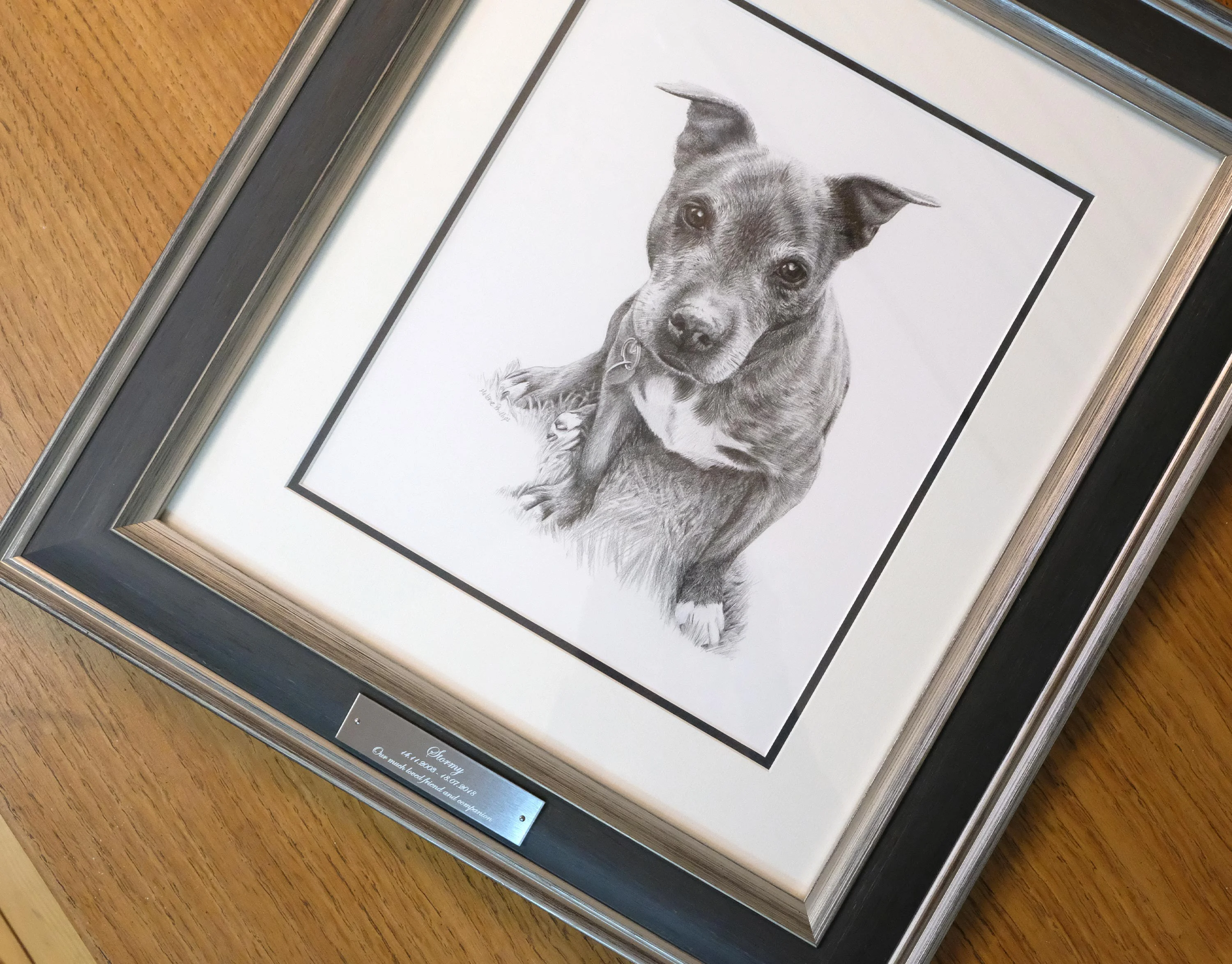 The framed pencil portrait of Stormy displayed on a wall in a home.